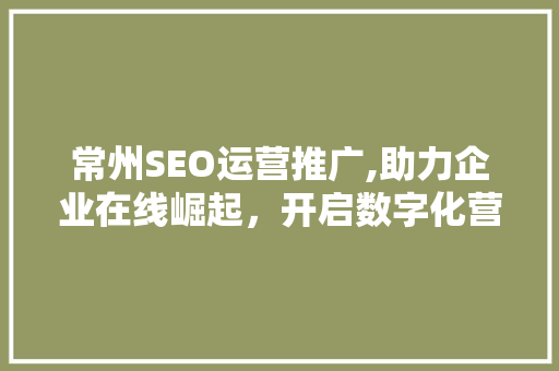 常州SEO运营推广,助力企业在线崛起，开启数字化营销新时代