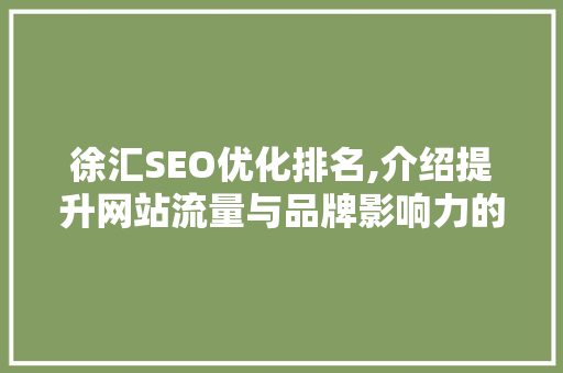 徐汇SEO优化排名,介绍提升网站流量与品牌影响力的秘密武器
