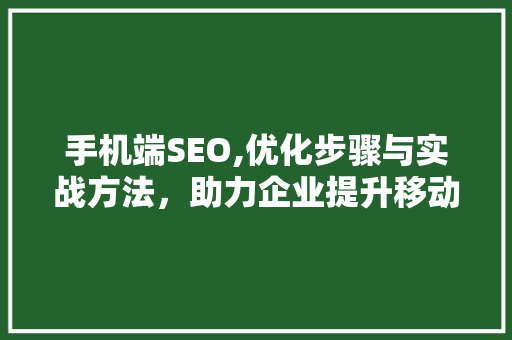 手机端SEO,优化步骤与实战方法，助力企业提升移动端流量