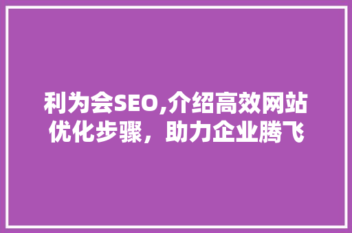 利为会SEO,介绍高效网站优化步骤，助力企业腾飞