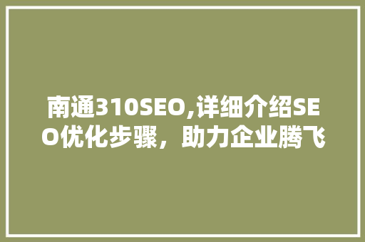 南通310SEO,详细介绍SEO优化步骤，助力企业腾飞