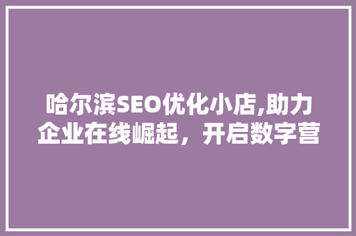 哈尔滨SEO优化小店,助力企业在线崛起，开启数字营销新篇章