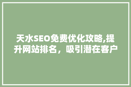 天水SEO免费优化攻略,提升网站排名，吸引潜在客户
