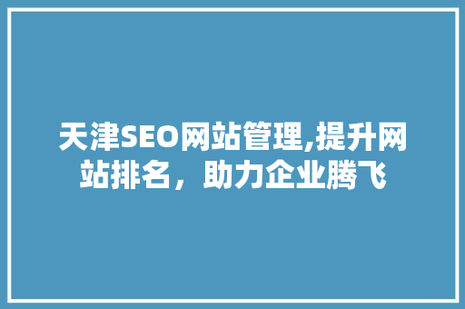 天津SEO网站管理,提升网站排名，助力企业腾飞