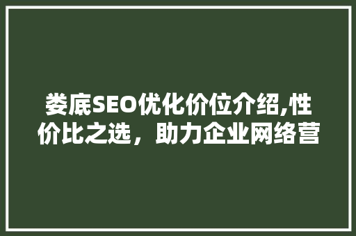 娄底SEO优化价位介绍,性价比之选，助力企业网络营销腾飞