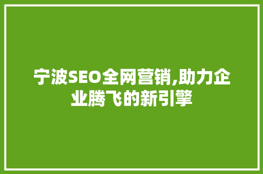 宁波SEO全网营销,助力企业腾飞的新引擎