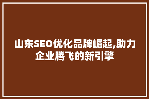 山东SEO优化品牌崛起,助力企业腾飞的新引擎