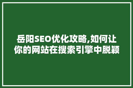岳阳SEO优化攻略,如何让你的网站在搜索引擎中脱颖而出