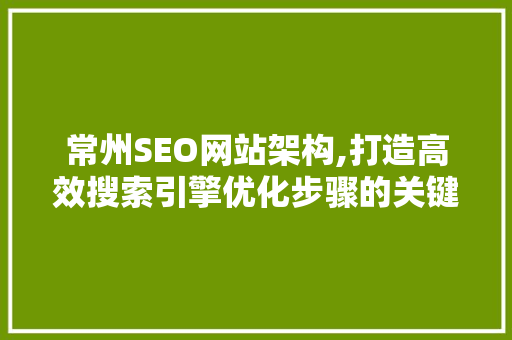 常州SEO网站架构,打造高效搜索引擎优化步骤的关键步骤