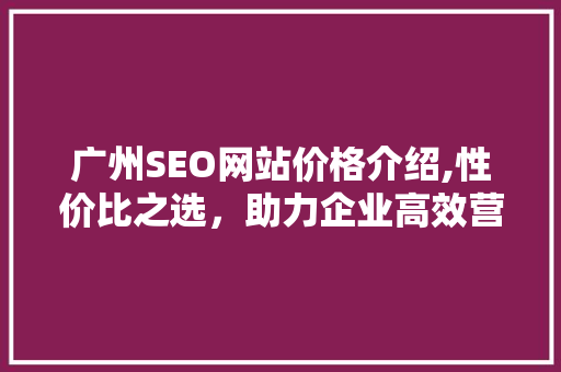 广州SEO网站价格介绍,性价比之选，助力企业高效营销
