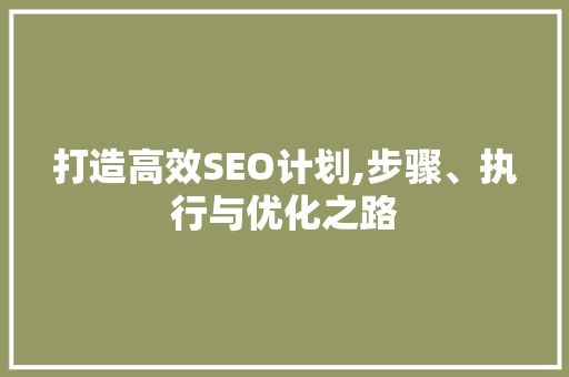 打造高效SEO计划,步骤、执行与优化之路