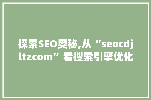 探索SEO奥秘,从“seocdjltzcom”看搜索引擎优化之路