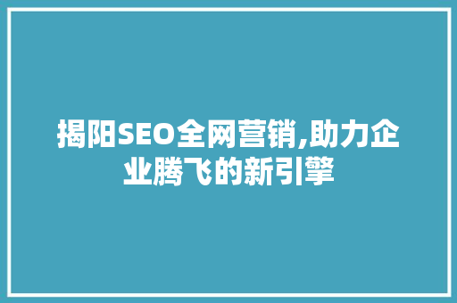 揭阳SEO全网营销,助力企业腾飞的新引擎