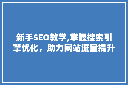 新手SEO教学,掌握搜索引擎优化，助力网站流量提升