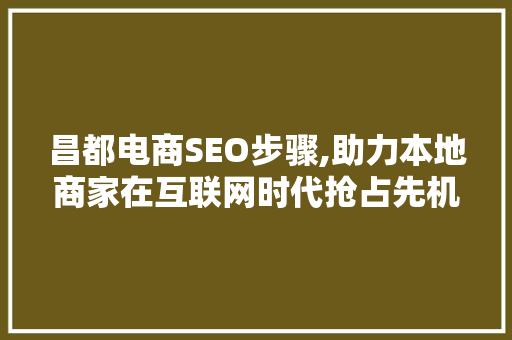 昌都电商SEO步骤,助力本地商家在互联网时代抢占先机