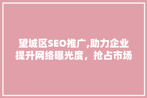 望城区SEO推广,助力企业提升网络曝光度，抢占市场先机