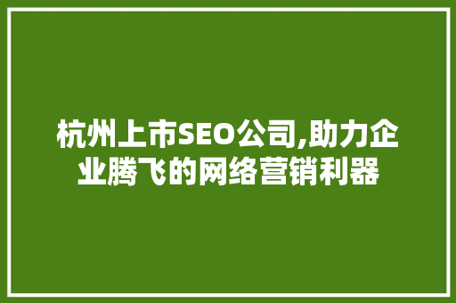 杭州上市SEO公司,助力企业腾飞的网络营销利器