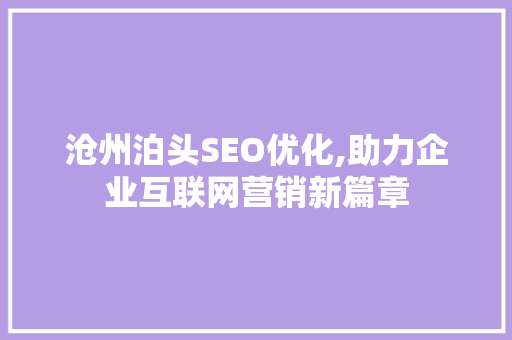 沧州泊头SEO优化,助力企业互联网营销新篇章