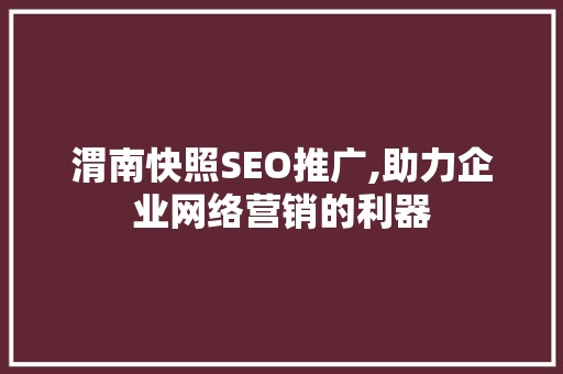 渭南快照SEO推广,助力企业网络营销的利器