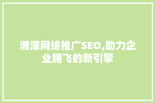 湘潭网络推广SEO,助力企业腾飞的新引擎