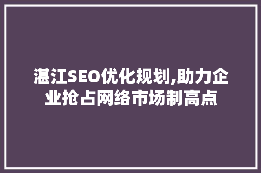 湛江SEO优化规划,助力企业抢占网络市场制高点