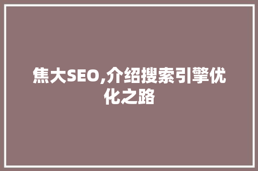 焦大SEO,介绍搜索引擎优化之路