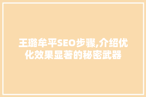王璐牟平SEO步骤,介绍优化效果显著的秘密武器