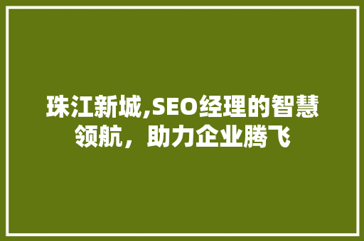 珠江新城,SEO经理的智慧领航，助力企业腾飞