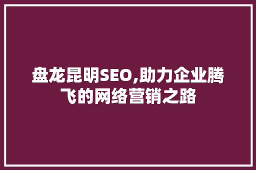 盘龙昆明SEO,助力企业腾飞的网络营销之路