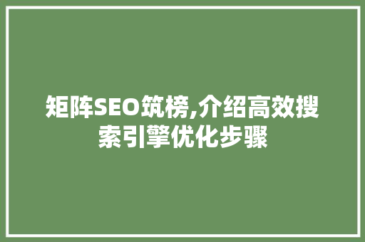 矩阵SEO筑榜,介绍高效搜索引擎优化步骤