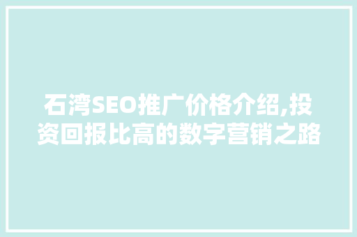 石湾SEO推广价格介绍,投资回报比高的数字营销之路