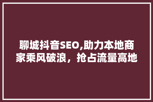 聊城抖音SEO,助力本地商家乘风破浪，抢占流量高地