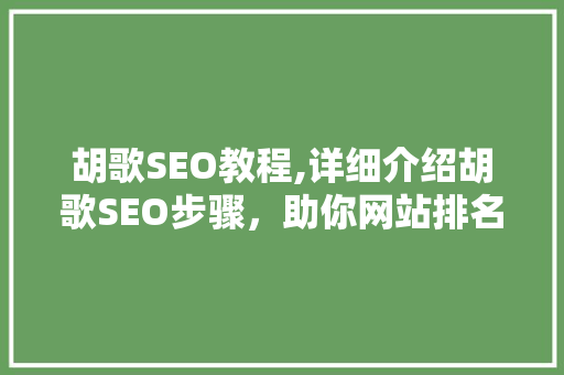 胡歌SEO教程,详细介绍胡歌SEO步骤，助你网站排名飙升！