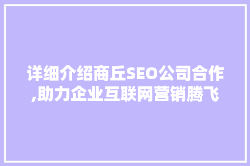 详细介绍商丘SEO公司合作,助力企业互联网营销腾飞