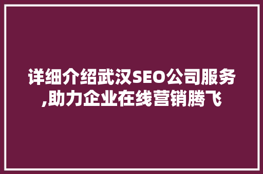 详细介绍武汉SEO公司服务,助力企业在线营销腾飞