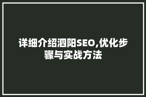 详细介绍泗阳SEO,优化步骤与实战方法