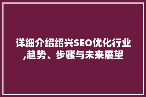 详细介绍绍兴SEO优化行业,趋势、步骤与未来展望