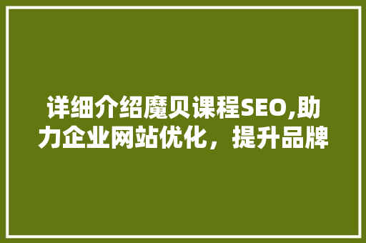 详细介绍魔贝课程SEO,助力企业网站优化，提升品牌影响力