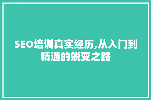 SEO培训真实经历,从入门到精通的蜕变之路