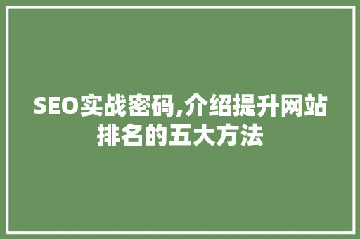 SEO实战密码,介绍提升网站排名的五大方法