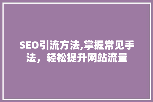 SEO引流方法,掌握常见手法，轻松提升网站流量