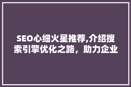 SEO心细火星推荐,介绍搜索引擎优化之路，助力企业腾飞