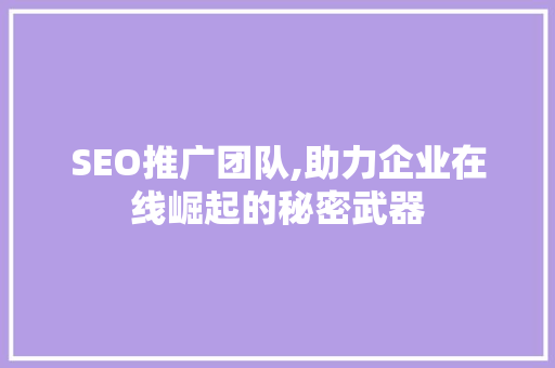 SEO推广团队,助力企业在线崛起的秘密武器