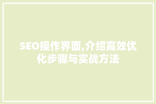 SEO操作界面,介绍高效优化步骤与实战方法
