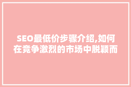 SEO最低价步骤介绍,如何在竞争激烈的市场中脱颖而出