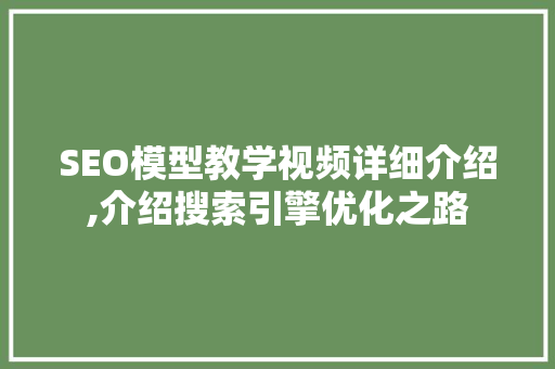 SEO模型教学视频详细介绍,介绍搜索引擎优化之路