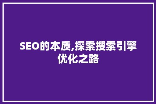 SEO的本质,探索搜索引擎优化之路