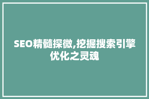 SEO精髓探微,挖掘搜索引擎优化之灵魂