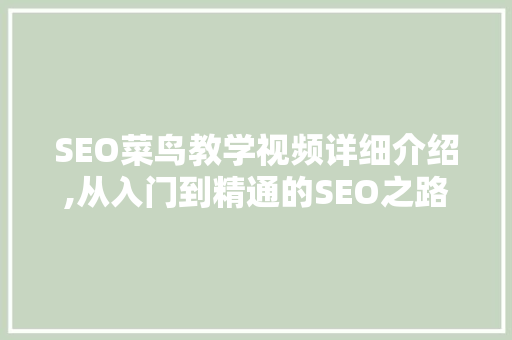 SEO菜鸟教学视频详细介绍,从入门到精通的SEO之路
