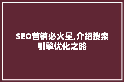 SEO营销必火星,介绍搜索引擎优化之路